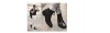 Bottes rehaussantes