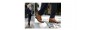 Chaussures rehaussantes Holland