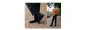 Chelsea Boots Rehaussantes