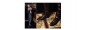 chaussures rehaussantes